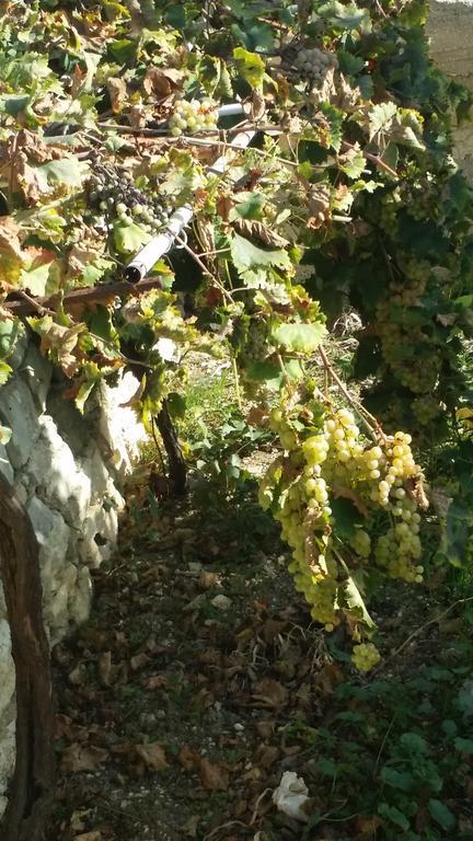 Apartament Sole E Fiori Di Sicilia Valderice Zewnętrze zdjęcie