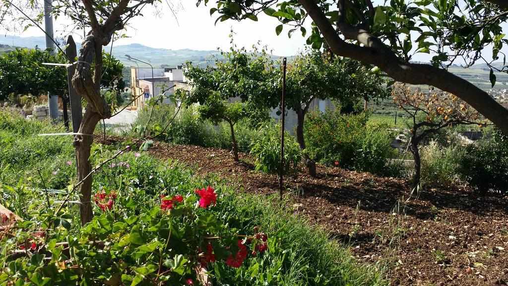 Apartament Sole E Fiori Di Sicilia Valderice Zewnętrze zdjęcie